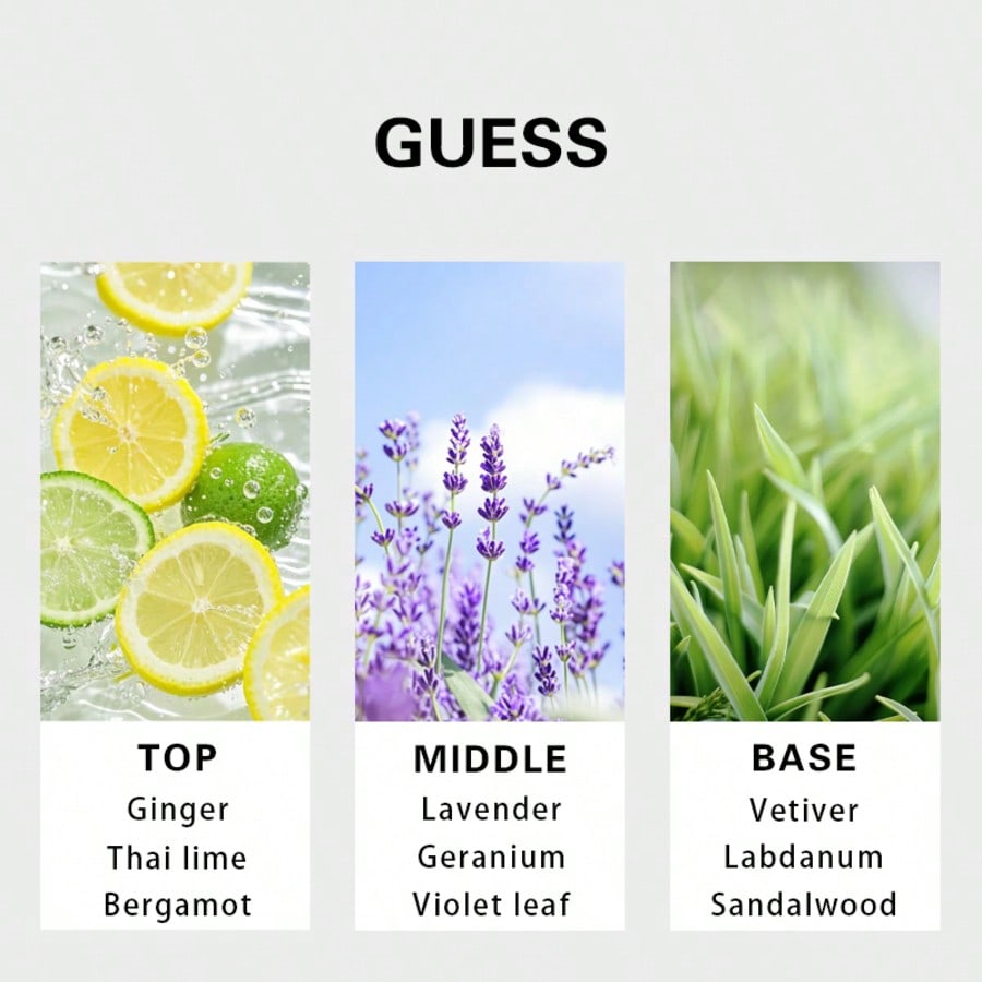 Guess Forever men Eau De Toile - Perfume And Fragrance recension och pris
