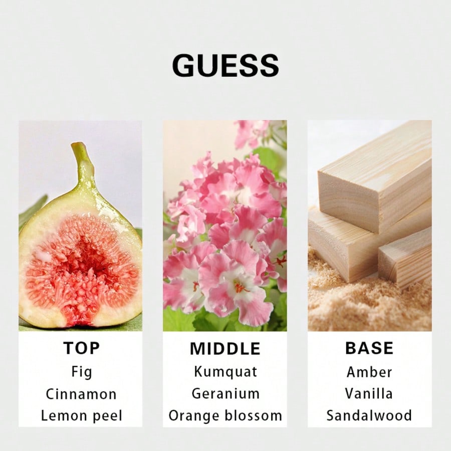Guess Seductive Homme Redmen E - Perfume And Fragrance recension och pris