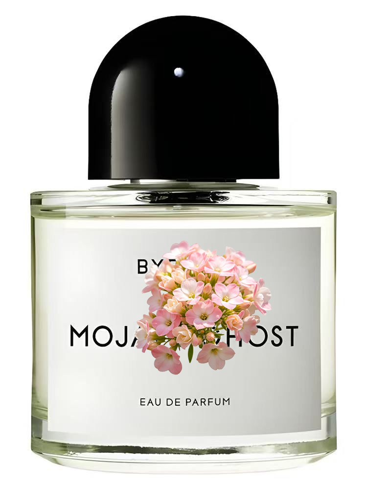 MOJAVE  OUT OF STOCK  Unisex E - Perfume Xeryus recension och pris